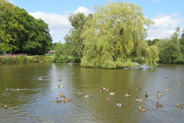 Pirbright